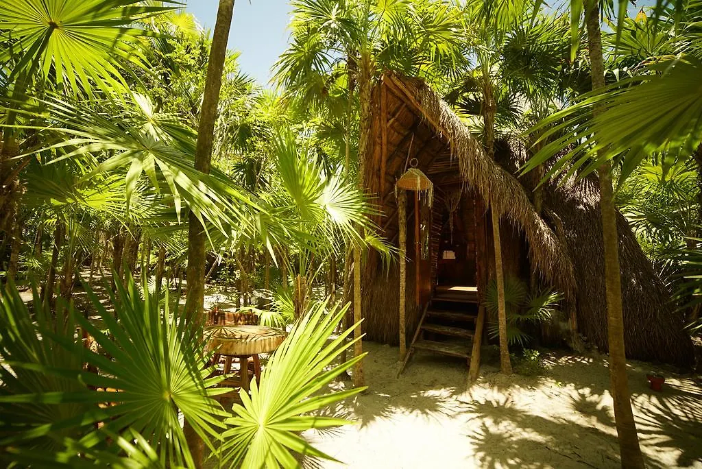 Ikal Boutique Hotel 图卢姆